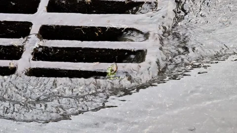 Rainwater flowing forcefully into storm drain grate on urban street pavement Stock Footage 342230525