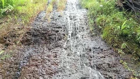 Rainwater Flowing Over Rocks Creating Natural Water Texture Stock Footage 331728098