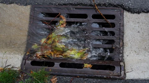 Rainwater flowing into a storm drain clogged with wet leaves during heavy Stock Footage 340449970