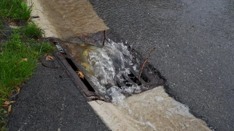 Rainwater flowing into a storm drain clogged with wet leaves during heavy Stock Footage 340450370