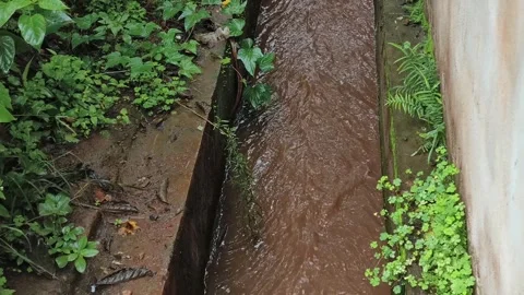 Rainwater Flowing Through Concrete Drain Stock Footage 341269981