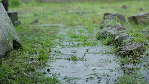Rainwater Flowing Through Muddy Path During Heavy Rainfall Stock Footage 341768071
