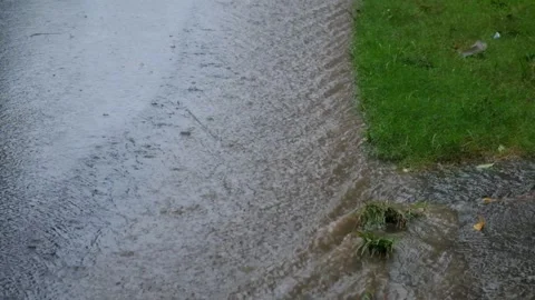 Rainwater flows along the edge of the asphalt road Stock Footage 323150700
