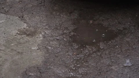 Rainwater flows and drips into a muddy puddle on the asphalt Stock Footage 331933368
