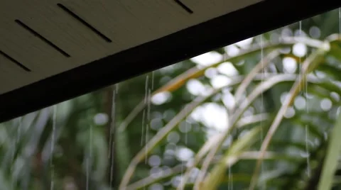 Rainwater flows down from the roof Stock Footage 56418909