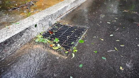 Rainwater Flows into a Drain During a Moderate Shower, CU, HD Stock Footage 202299212