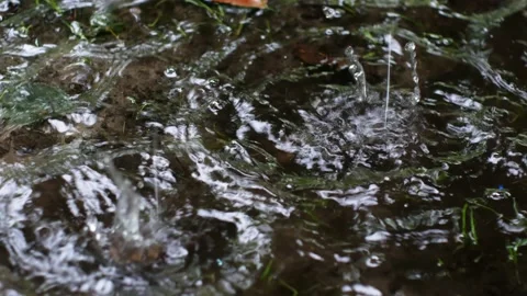 Rainwater flows into a puddle during rain Stock-Footage 154870964