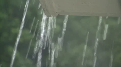 Rainwater Stock Footage 12303578