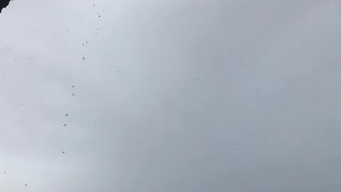 Rainwater Stock Footage 213801690