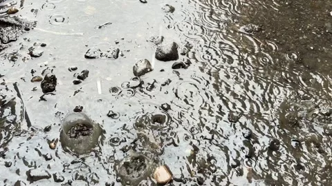 Rainwater Stock Footage 276634393