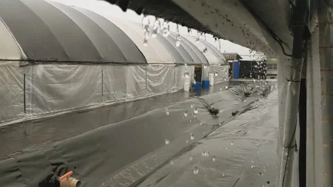 Rainwater Stock Footage 282067560