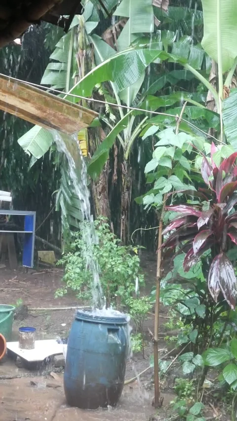 Rainwater Stock Footage 324532156