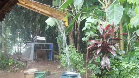 Rainwater Stock Footage 324532157