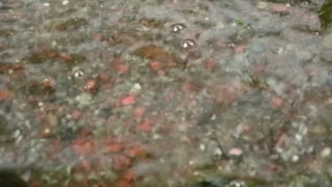Rainwater Stock-Footage 331421775