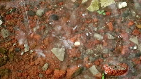 Rainwater Stock Footage 331421776