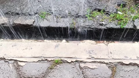 Rainwater Stock-Footage 335019635