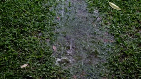 Rainwater from the gutter falls on the green grass Stock Footage 291917013