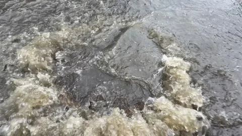 Rainwater Overflowing Through Road Sewer Drain Video stock 344634508