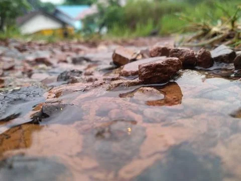 Rainwater Stock-Fotos