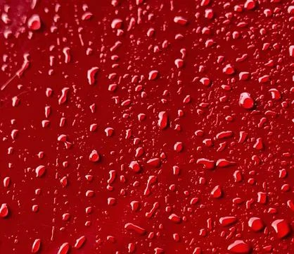 Rainwater Stock-Fotos