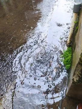 Rainwater Foto stock