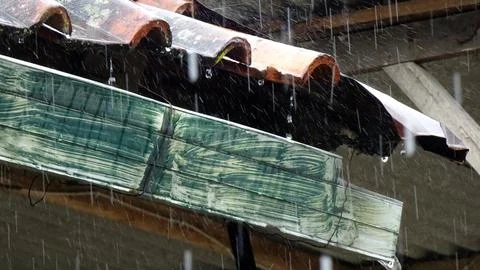 Rainwater Stock Photos