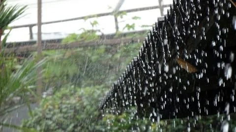 Rainwater Stock Photos