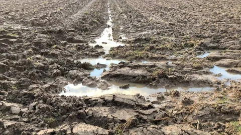 Rainwater on a plowed field earthen mud Video stock 126028681