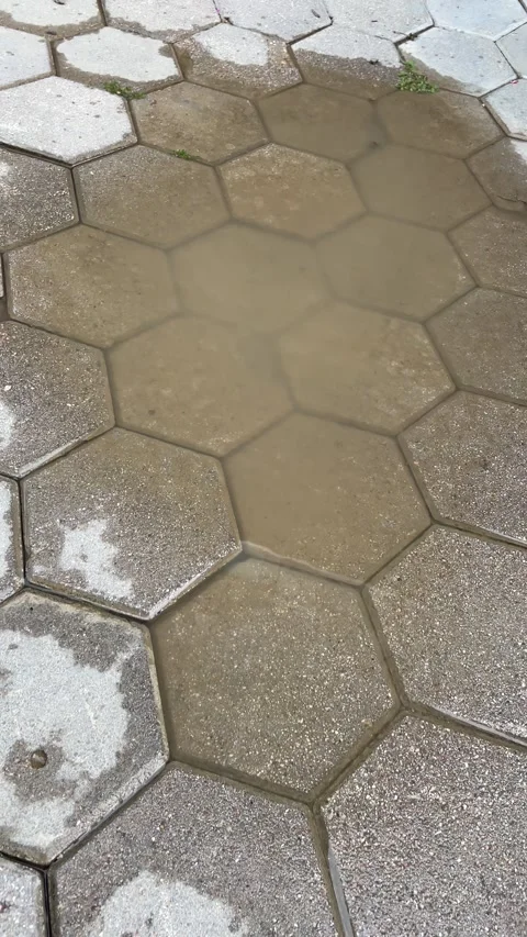 Rainwater Puddle After Heavy Rain – Standing Water on Ground 4K Stock Footage 199804721