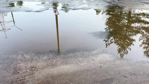 Rainwater puddle reflecting trees, power pole and road sign on wet asphalt 스톡 동영상 330944276