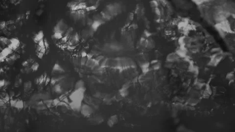 Rainwater Puddle with Reflections Stock Footage 314909405