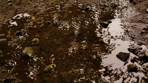 Rainwater puddles on the ground. 動画素材 273992488