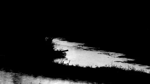 Rainwater reflecting light in a rural canal during monsoon Stock Footage 336532704