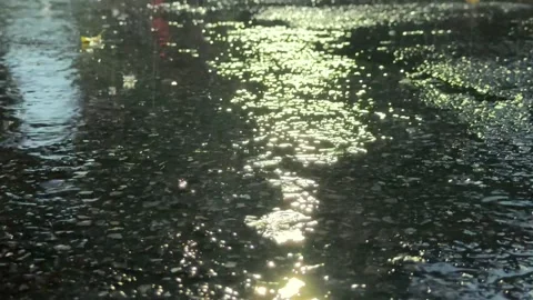 Rainwater reflection with shimmering city lights Stock Footage 338010686