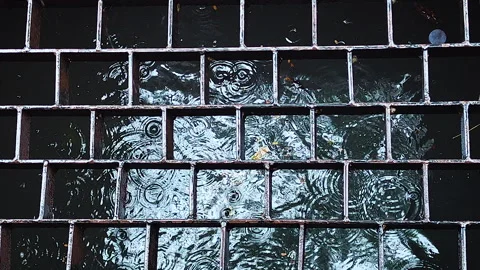 Rainwater Ripples on Wet Brick Pavement, Close-Up Rainy Weather Texture Stock Footage 343077201