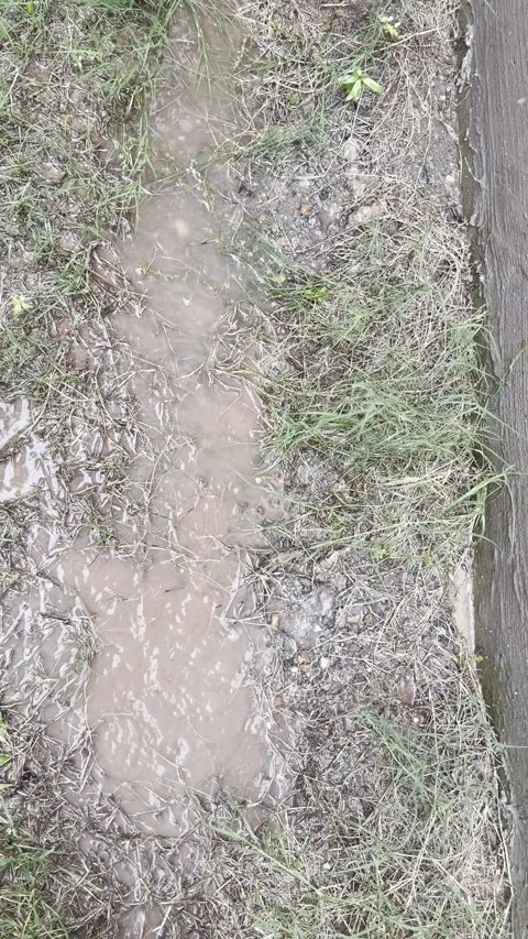 Rainwater Running Along Muddy Ground and Grass Stock Footage 345685049