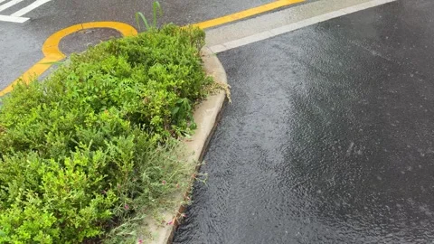 Rainwater Runoff Flowing Down Wet Asphalt Along Curved Parking Curb Stock Footage 348574384
