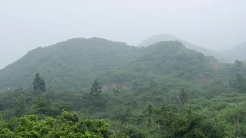 Rainwater runs down mossy rocks in humid rainforest surrounded by misty air and Stock-Footage 320976792