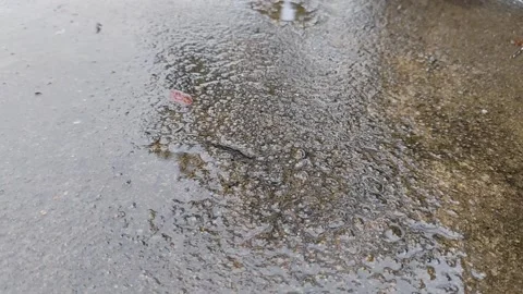 Rainwater Splashes on Rough-Textured and Wet Cement Surfaces Stock Footage 304313295