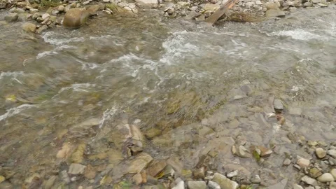 Rainwaters in Forest Natural Disaster Cloudy Day Solitude Loneliness no People Stock Footage 71636075