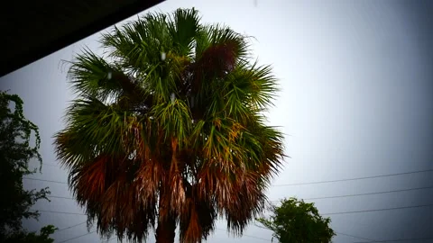 A rainy afternoon in florida Stock Footage 205527511