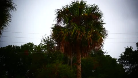 A rainy afternoon in florida. Stock Footage 205527512