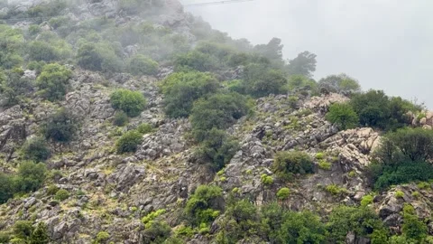 Rainy and Misty rocky Forest Mountain Peak in fog at Summer Evening Nature Time Stock Footage 314062422