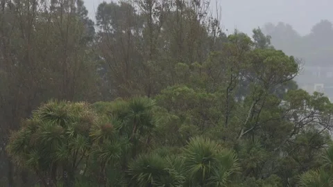 As rainy and windy day. Stock Footage 255925910
