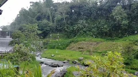 Rainy atmosphere on the edge of the river around the edge of the forest Video stock 221085474