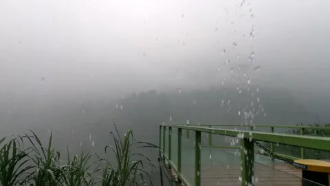 Rainy atmosphere at the top of bogor Stock Footage 204933355