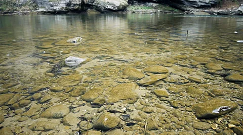 Rainy clear water river side Stock Footage 37556731