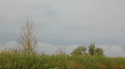 Rainy clouds and the cane in timelaps Stock Footage 8825319