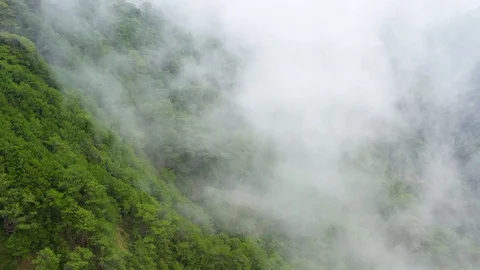The rainy clouds covered the top of green forest mountain. Rain clouds in a Stock Footage 124954885
