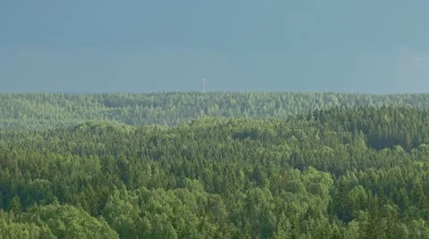 Rainy clouds over an dense forest Stock Footage 10790159